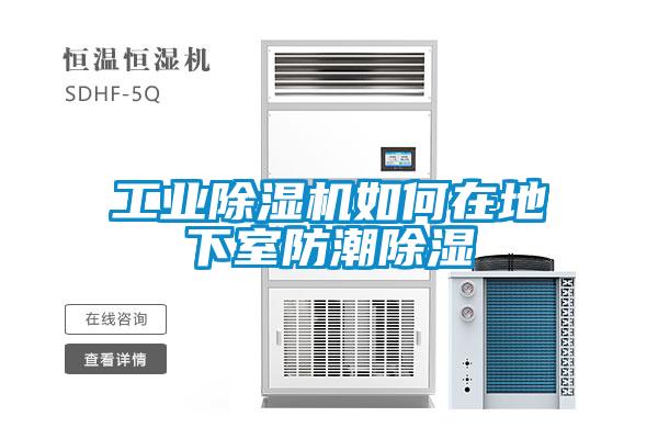 欧美黄色性爱视频网站 工业除湿机如何在地下室防潮除湿