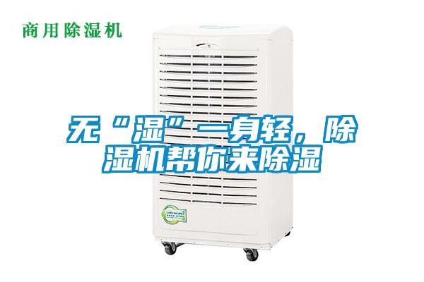 欧美黄色电影在线播放 无“湿”一身轻，除湿机帮你来除湿