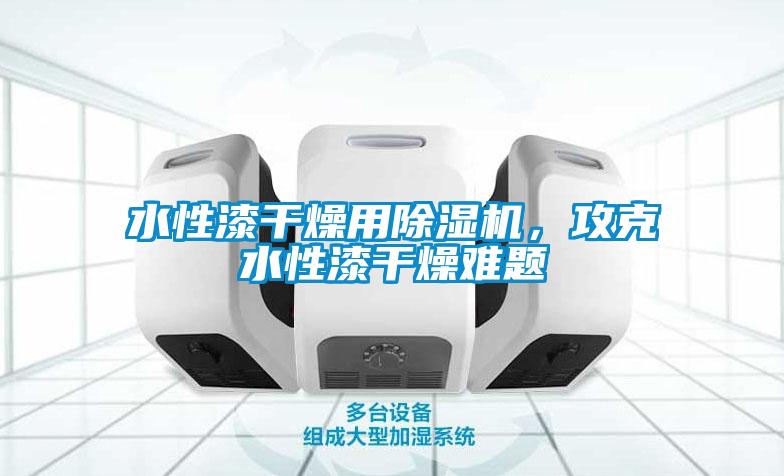 欧美成色手机在线观看 水性漆干燥用除湿机，攻克水性漆干燥难题
