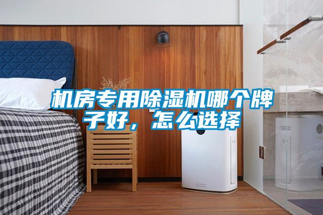 欧美黄色电影在线播放 机房专用除湿机哪个牌子好，怎么选择
