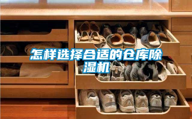 欧美黄色电影在线播放 怎样选择合适的仓库除湿机
