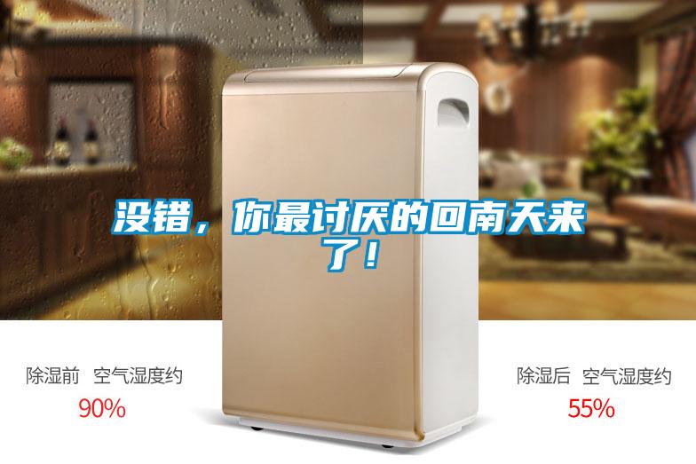 欧美黄色电影在线播放 没错，你最讨厌的回南天来了！