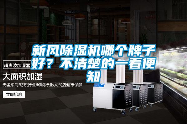 欧美黄色电影在线播放 新风除湿机哪个牌子好？不清楚的一看便知