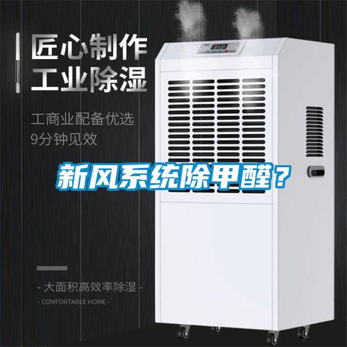 欧美黄色电影在线播放 新风系统除甲醛？
