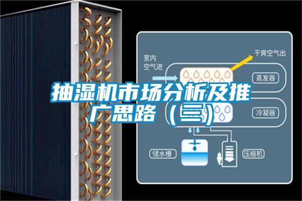 欧美成色手机在线观看 抽湿机市场分析及推广思路（三）