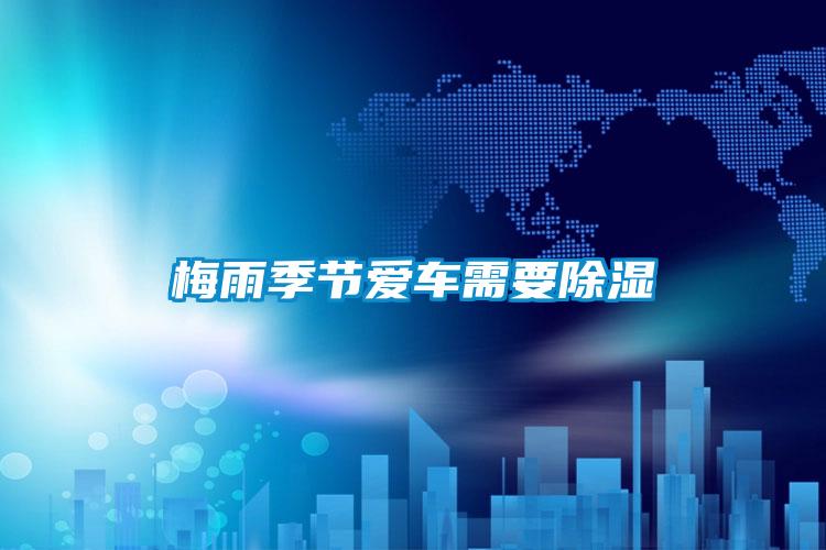 欧美黄色电影在线播放 梅雨季节爱车需要除湿
