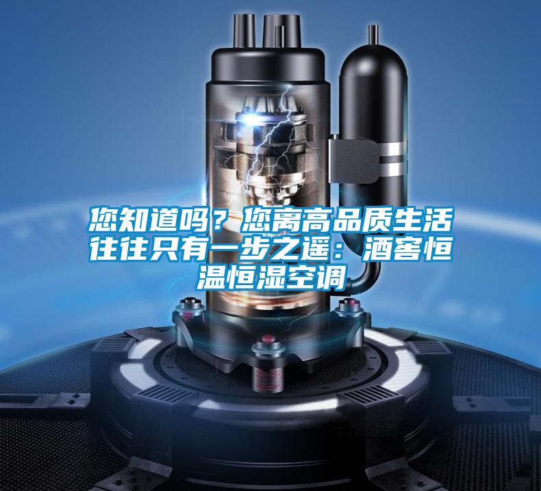欧美黄色电影在线播放 您知道吗？您离高品质生活往往只有一步之遥：酒窖恒温恒湿空调