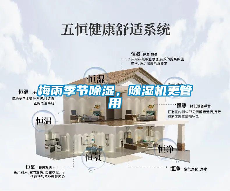 欧美黄色性爱视频网站 梅雨季节除湿，除湿机更管用