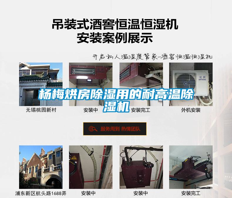 欧美黄色电影在线播放 杨梅烘房除湿用的耐高温除湿机