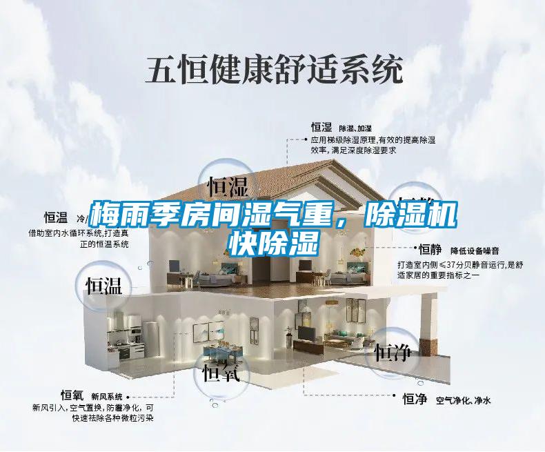 欧美黄色性爱视频网站 梅雨季房间湿气重，除湿机快除湿