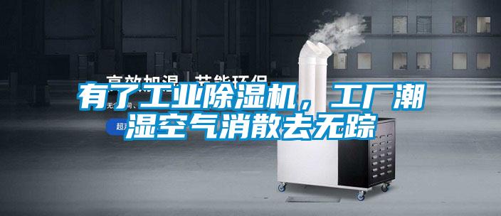 欧美黄色性爱视频网站 有了工业除湿机，工厂潮湿空气消散去无踪