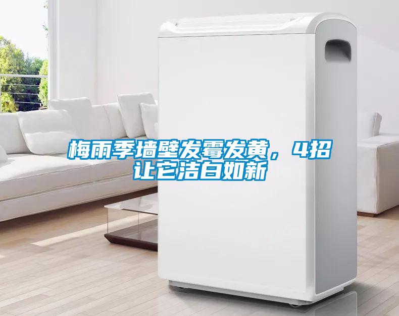 欧美成色手机在线观看 梅雨季墙壁发霉发黄，4招让它洁白如新