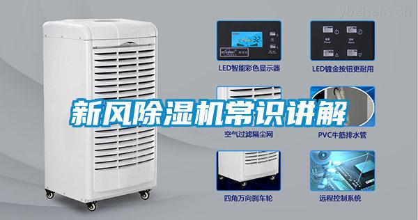 欧美成色手机在线观看 新风除湿机常识讲解