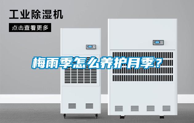 欧美成色手机在线观看 梅雨季怎么养护月季？