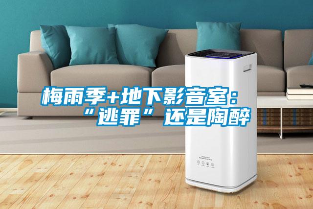 欧美成色手机在线观看 梅雨季+地下影音室：“逃罪”还是陶醉