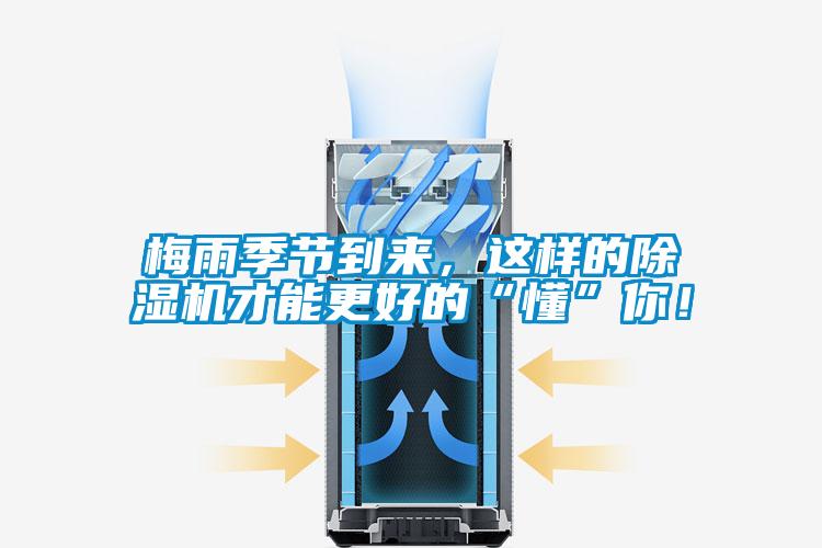 欧美成色手机在线观看 梅雨季节到来，这样的除湿机才能更好的“懂”你！