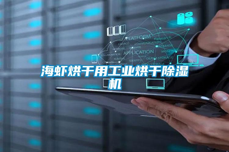 欧美成色手机在线观看 海虾烘干用工业烘干除湿机