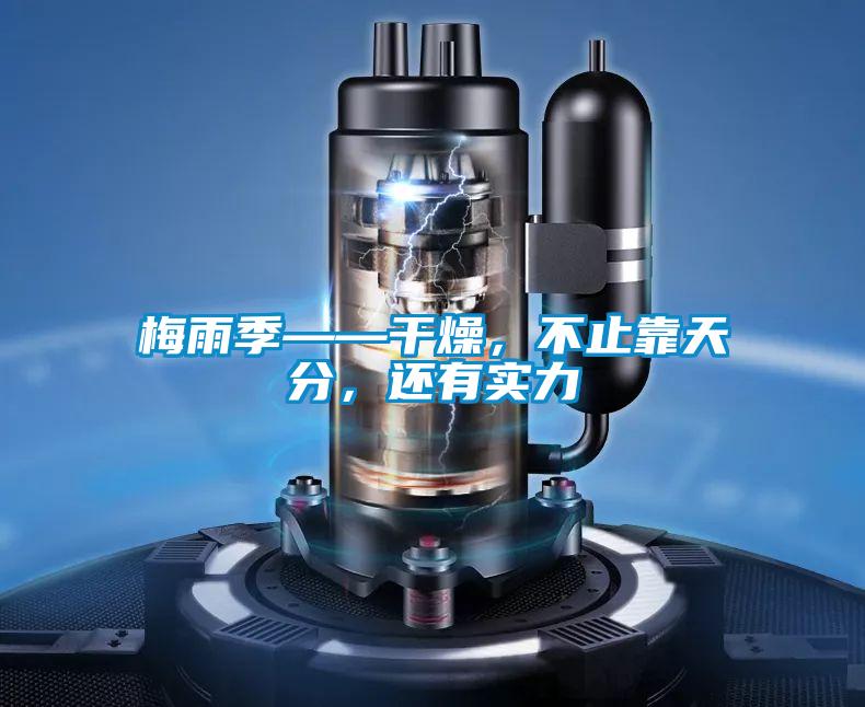 欧美成色手机在线观看 梅雨季——干燥，不止靠天分，还有实力