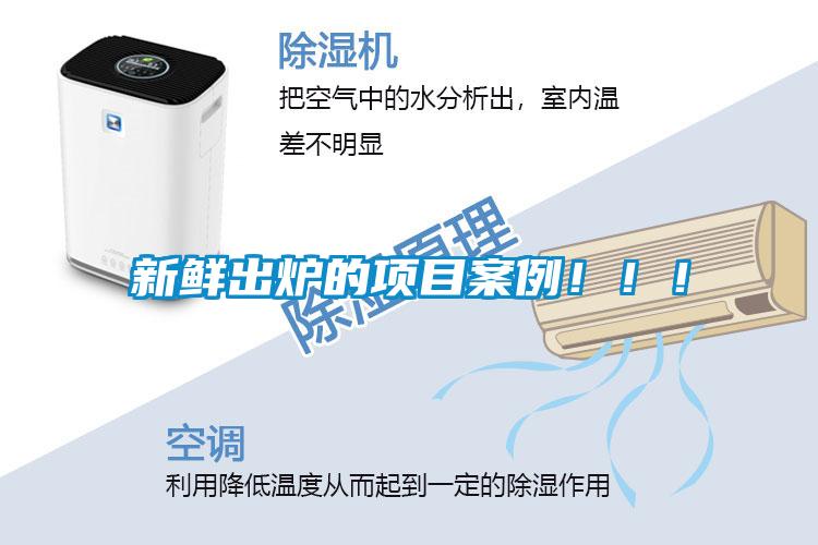 欧美黄色性爱视频网站 新鲜出炉的项目案例！！！