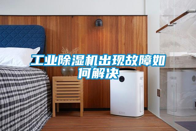 欧美黄色电影在线播放 工业除湿机出现故障如何解决