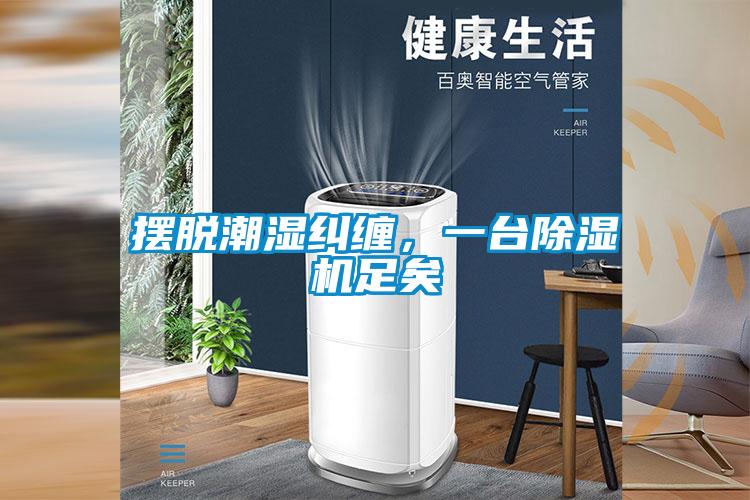 欧美黄色性爱视频网站 摆脱潮湿纠缠，一台除湿机足矣