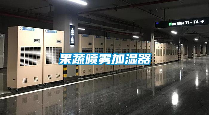 欧美黄色电影在线播放 果蔬喷雾加湿器