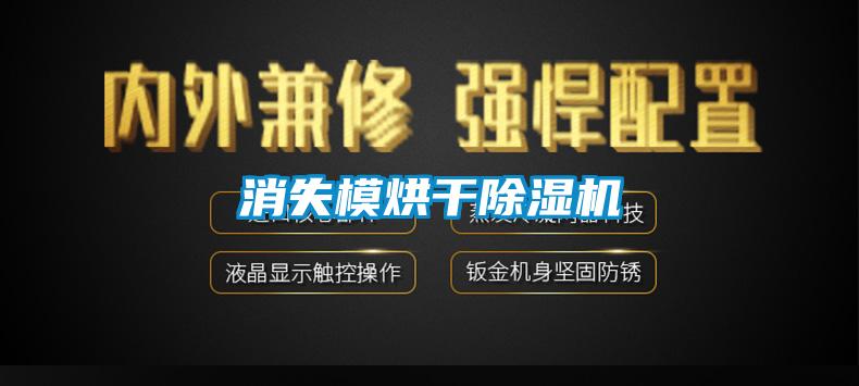 欧美黄色性爱视频网站 消失模烘干除湿机