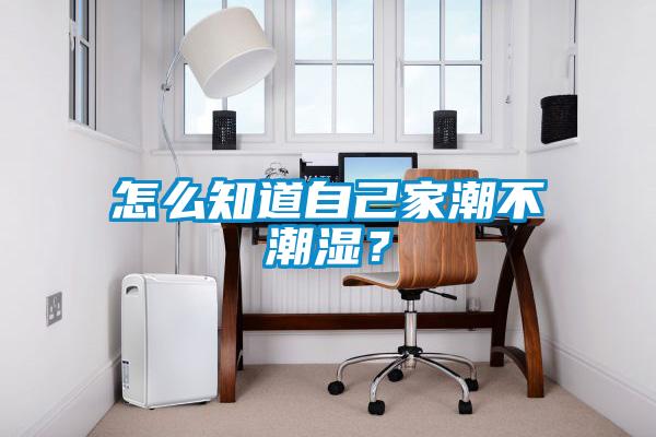 欧美成色手机在线观看 怎么知道自己家潮不潮湿？