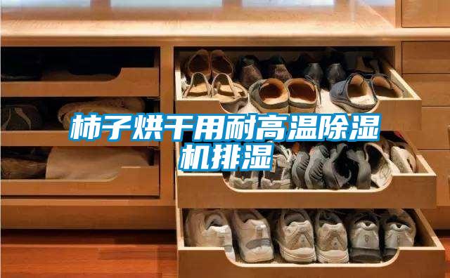 欧美成色手机在线观看 柿子烘干用耐高温除湿机排湿