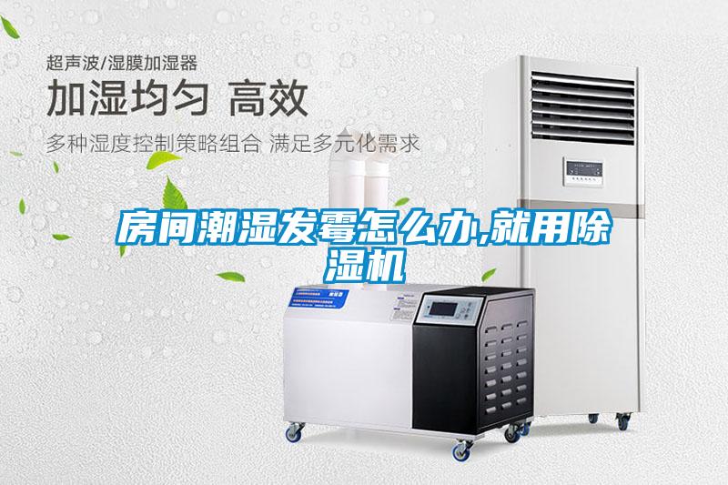 欧美黄色性爱视频网站 房间潮湿发霉怎么办,就用除湿机