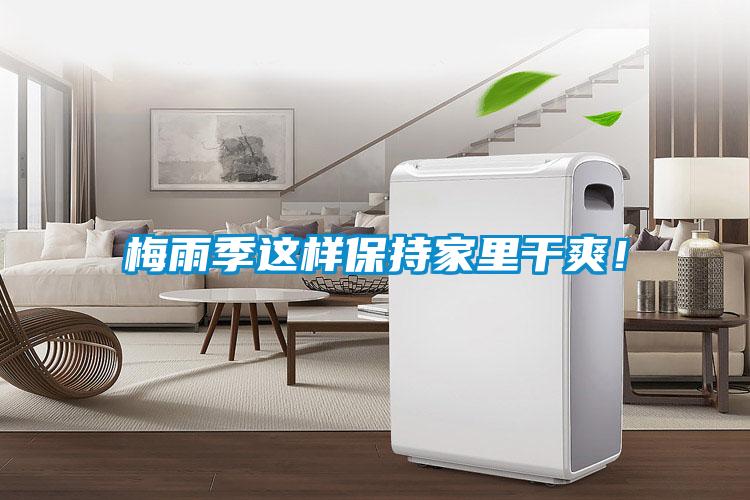 欧美黄色电影在线播放 梅雨季这样保持家里干爽！