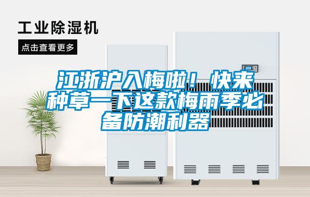 欧美黄色性爱视频网站 江浙沪入梅啦！快来种草一下这款梅雨季必备防潮利器