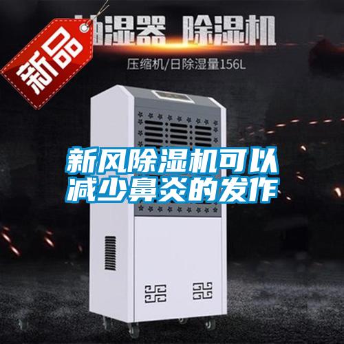 欧美黄色性爱视频网站 新风除湿机可以减少鼻炎的发作