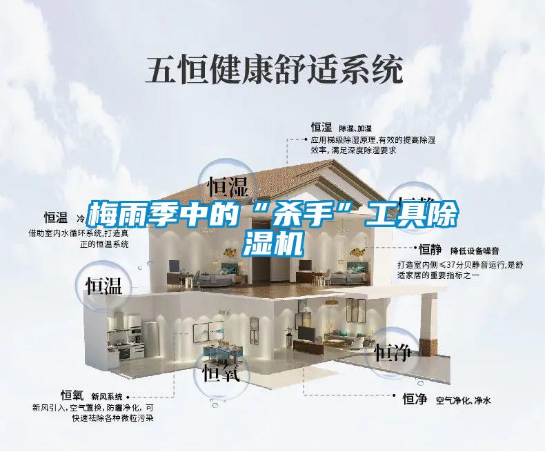 欧美黄色电影在线播放 梅雨季中的“杀手”工具除湿机
