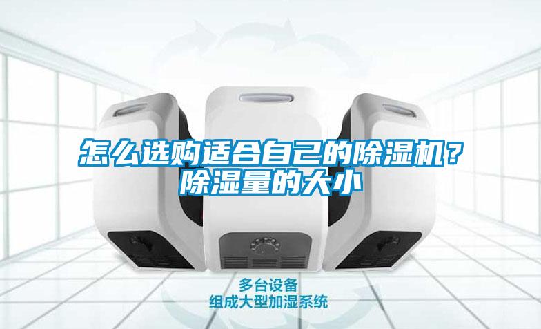欧美黄色电影在线播放 怎么选购适合自己的除湿机？除湿量的大小