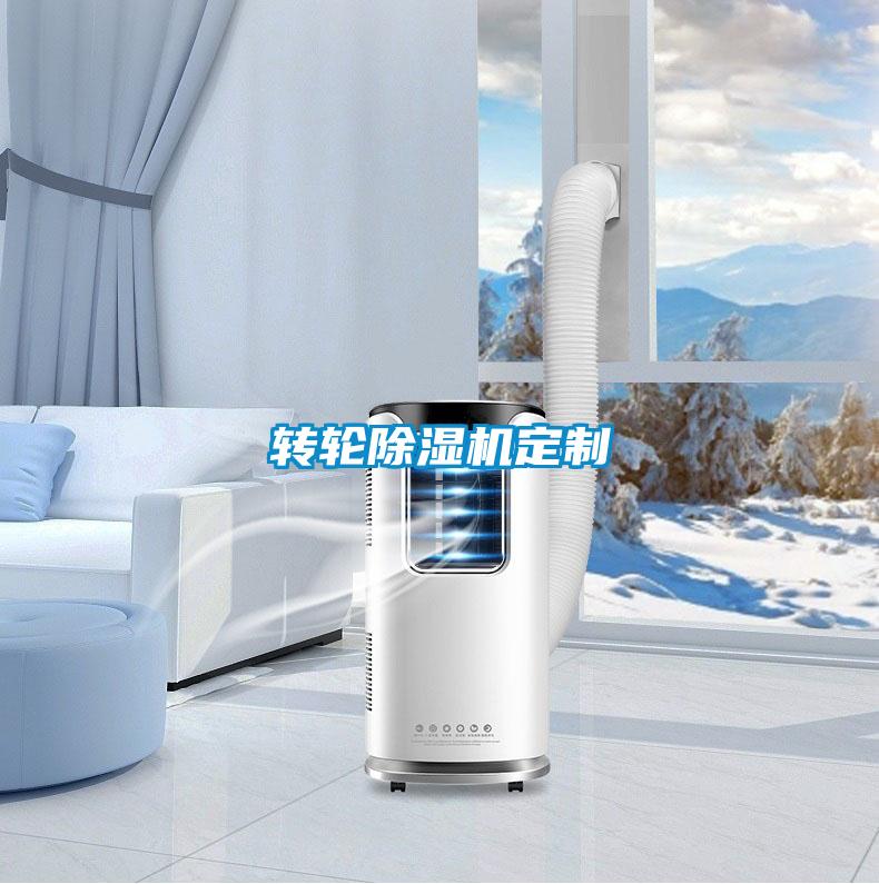 欧美黄色电影在线播放 转轮除湿机定制