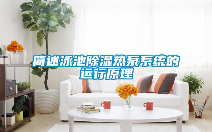 欧美成色手机在线观看 简述泳池除湿热泵系统的运行原理