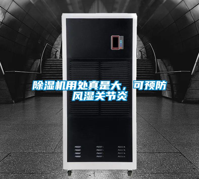 欧美黄色性爱视频网站 除湿机用处真是大，可预防风湿关节炎