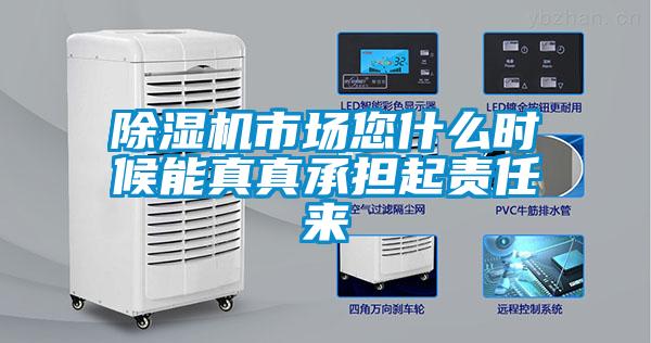 欧美黄色电影在线播放 除湿机市场您什么时候能真真承担起责任来