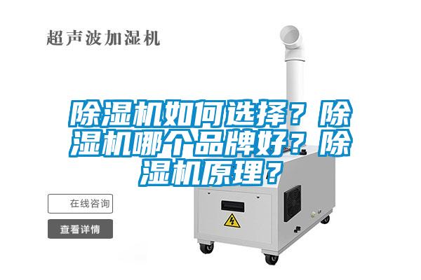 欧美成色手机在线观看 除湿机如何选择？除湿机哪个品牌好？除湿机原理？