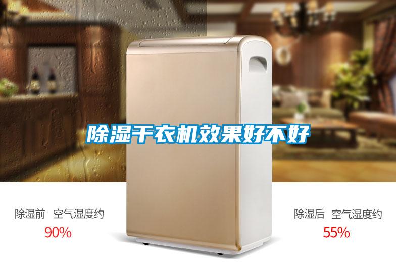 欧美黄色性爱视频网站 除湿干衣机效果好不好