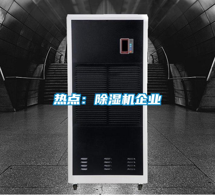 欧美成色手机在线观看 热点：除湿机企业