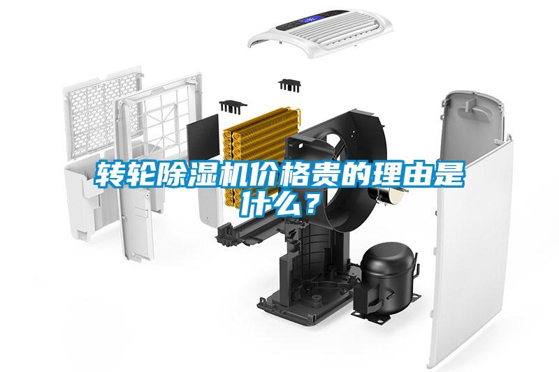 欧美黄色性爱视频网站 转轮除湿机价格贵的理由是什么？