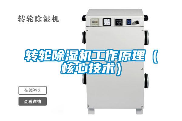 欧美黄色电影在线播放 转轮除湿机工作原理（核心技术）