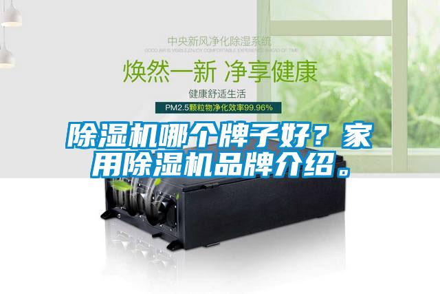 欧美黄色电影在线播放 除湿机哪个牌子好？家用除湿机品牌介绍。