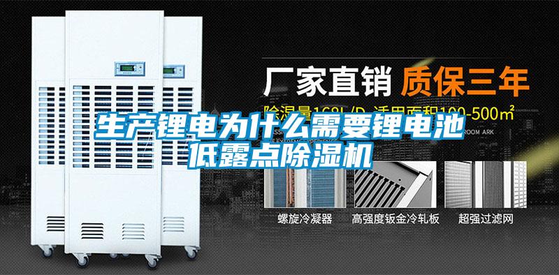 欧美黄色电影在线播放 生产锂电为什么需要锂电池低露点除湿机