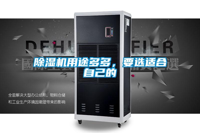 欧美黄色性爱视频网站 除湿机用途多多，要选适合自己的