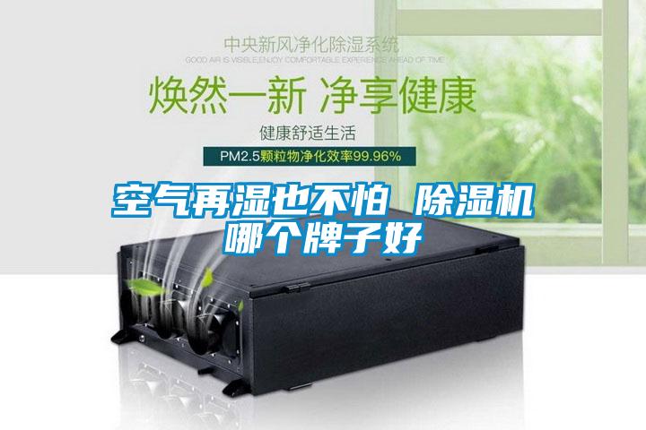 空气再湿也不怕 除湿机哪个牌子好