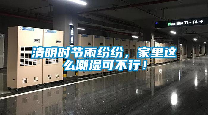 欧美黄色性爱视频网站 清明时节雨纷纷，家里这么潮湿可不行！