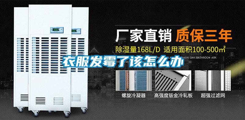 欧美黄色性爱视频网站 衣服发霉了该怎么办